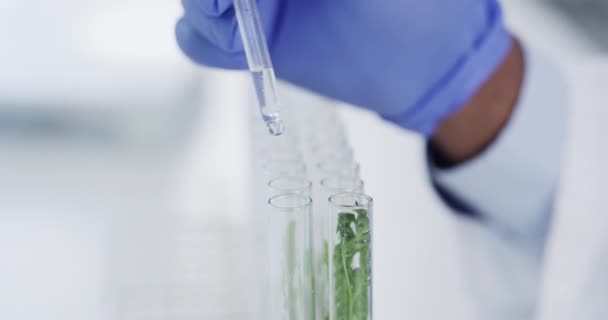 Ciência Pesquisa Mãos Com Pipeta Plantas Engenharia Médica Laboratório Biotecnologia — Vídeo de Stock