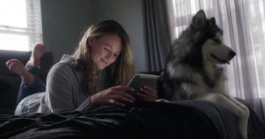 Kadın, köpek ve tablet araştırma, ağ kurmak ya da sosyal medyada evde birlikte rahatlamak için yatakta. Evcil hayvanı, köpeği ya da hayvanı olan kadın yatak odasında teknolojisiyle evde arama yapıyor..