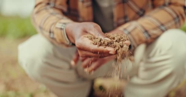 Gospodarstwo Ręce Zbliżenie Człowieka Glebą Rozwoju Roślin Warzyw Lub Produkcji — Wideo stockowe