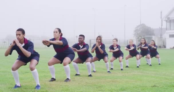 Stretching Zespół Lub Kobiety Rugby Wellness Lub Fitness Boisku Ćwiczyć — Wideo stockowe