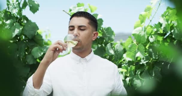 ヴィニヤード ワインテイスティング そして夏にアルコール飲料を飲む若者 メキシコ出身の農場 男性が田舎の屋外で香りとスパークリングシャンパンを楽しむ — ストック動画