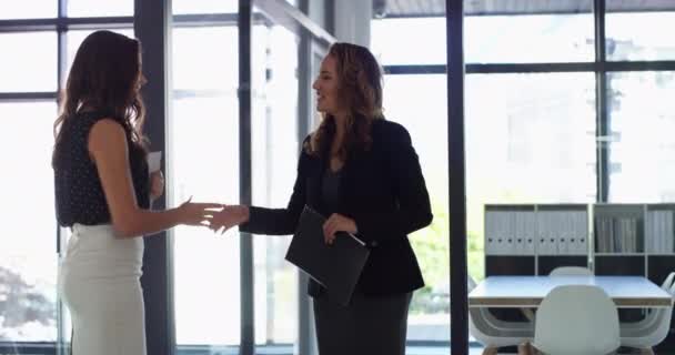 Mulheres Negócios Aperto Mão Documentos Para Entrevista Emprego Reunião Recursos — Vídeo de Stock