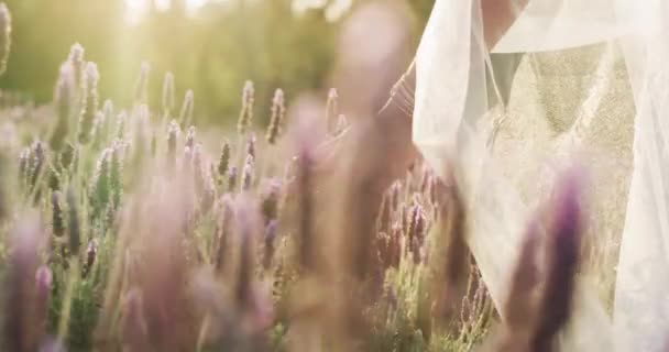 stock-video-field-bride-wedding-love-ceremony