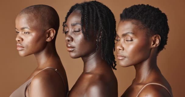 Schönheits Gesichts Oder Schwarze Frauenmodelle Mit Glühender Haut Oder Afro — Stockvideo