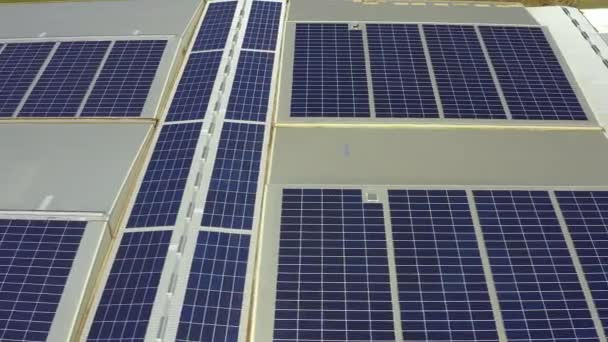 ルーフトップ ソーラーパネル および持続可能性 未来および環境のためのグリッドのドローンでエンジニアリング 再生可能エネルギー 環境に優しい発電機 太陽光発電技術の空中観察 — ストック動画