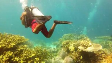 Endonezya 'ya tropikal tatil macerası, eğlence ya da keşif için mercan resifleri yakınında balıklarla yüzmek. Erkek kişi, ekipman ya da oksijen tankı ve su altında hareket etmek için paletleri..
