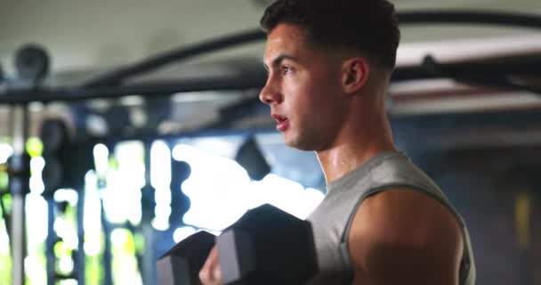 Hantel Svettig Man Och Motion Armstyrka Biceps Muskelutveckling Och Styrketräning — Stockvideo