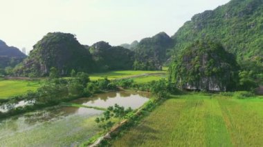 Drone, göl ve bina orman, yer ve alan dağlar, tropikal ya da sürdürülebilir güneş ışığı ekolojisi. Vietnam 'da orman, manzara ve su tepe tepe, ağaçlar ve yeşil çevre için..