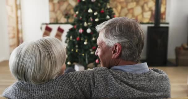 Noel Ağacı Sarılma Evdeki Koltukta Oturan Yaşlı Çift Birlikte Tatilde — Stok video
