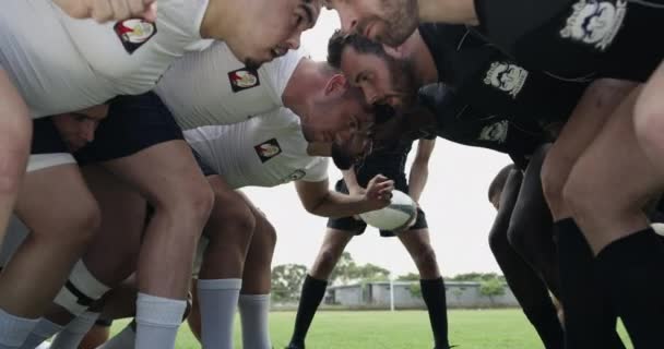 Équipe Rugby Hommes Mêlée Dans Jeu Compétition Puissance Pour Territoire — Video