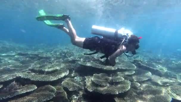 바다에서 수영하고 사람을위한 스쿠버 다이빙 인도네시아의 익스플로러 생태계 Raja Ampat — 비디오
