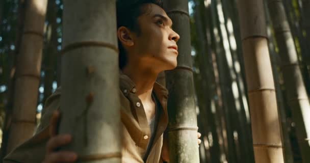 Arc Gondolkodás Vagy Ázsiai Férfi Erdőben Utazás Nyaralás Nyaralás Szabadság — Stock videók