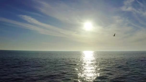 Ocean Zachód Słońca Ptaki Morzu Krajobrazie Chmurami Przyrodą Światłem Błękitnym — Wideo stockowe