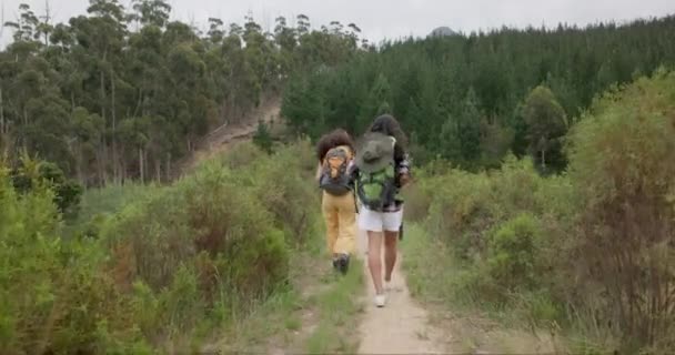 Amigos Mulheres Floresta Caminhadas Volta Natureza Ponto Vista Com Caminhadas — Vídeo de Stock