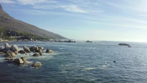 海洋和无人驾驶飞机在风景中与山 岩石或巨石波涛汹涌 鸟儿飞翔 开普敦 夏天的离岸自然 环境或水景 — 图库视频影像