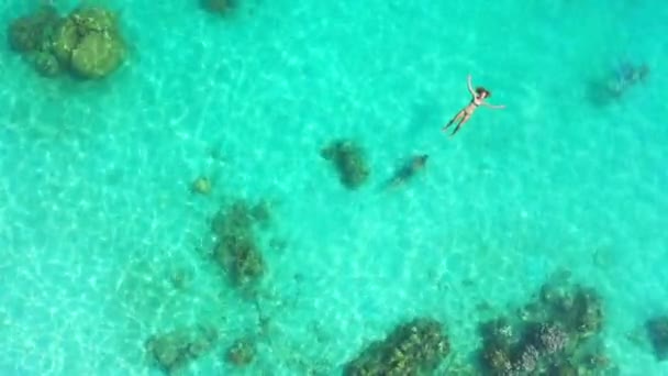 Dron Oceán Pár Plavání Moři Létě Dovolená Nebo Ostrov Dovolenou — Stock video