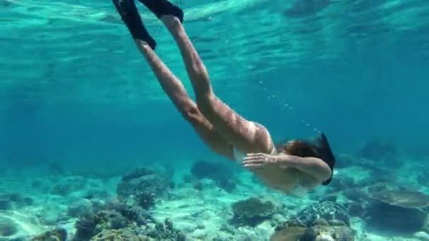 Mujer Snorkel Arrecife Coral Por Superficie Marina Naturaleza Natación Por — Vídeos de Stock