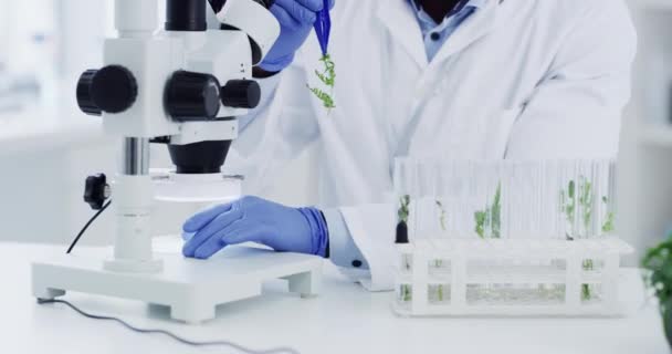 Ciência Vegetal Pesquisa Homem Negro Com Microscópio Resultados Engenharia Médica — Vídeo de Stock