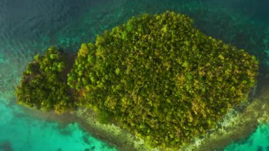 İnsansız hava aracı, ada ve kıyı şeridi tatil, tropikal ya da Endonezya 'ya seyahat için. Raja Ampat, havadan görüş ve sakinlik okyanus, dalgalar ve rahatlama, macera veya eğlence için doğa.