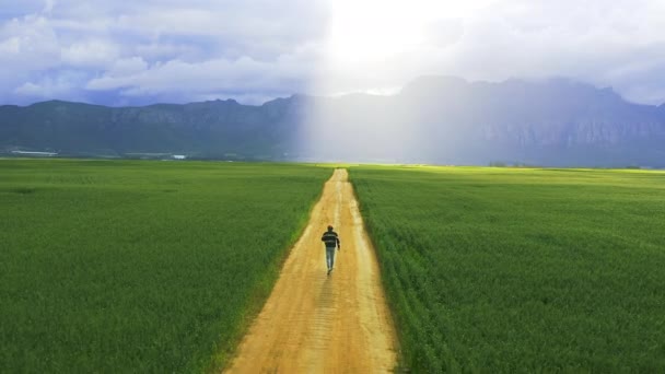 Дрон Назад Человек Идущий Тропе Сельской Местности Путешествий Свободы Приключений — стоковое видео