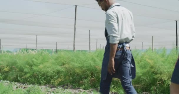 태블릿 농업의 검사를 온실에 사람들 토양의 결과에 이야기하는 공학을 남성과 — 비디오