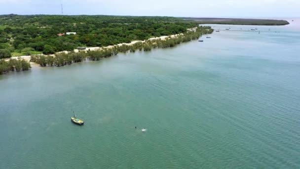 Drone Jacht Lub Ocean Ludzi Pływanie Natura Lub Cel Turystyczny — Wideo stockowe