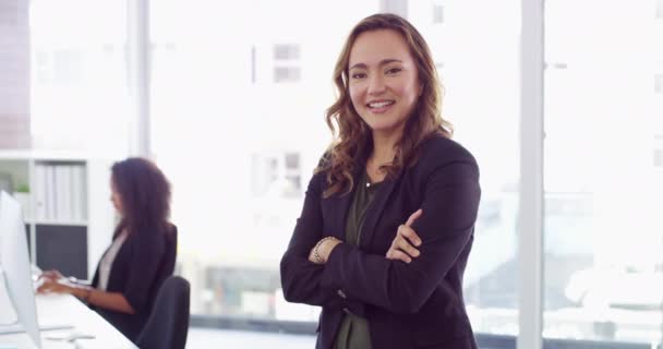 胳膊交叉 在办公室 公司和公司工作的女商人寻找职业或工作 快乐的职业顾问 自信的员工 员工和年轻律师共同工作 — 图库视频影像