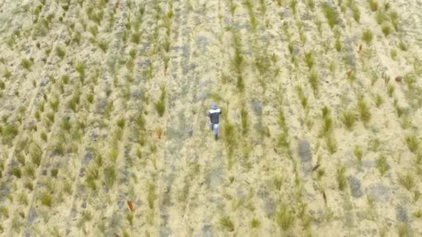 Nsansız Hava Aracı Çiftçi Tarım Sürdürülebilirlik Doğa Alanlarında Yürüyüş Hava — Stok video