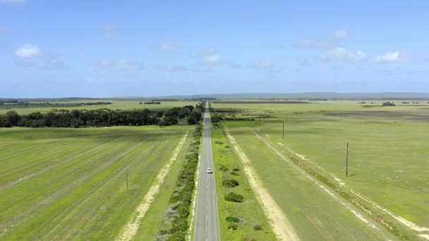 Drone Viajes Coche Una Carretera Campo Para Libertad Aventura Paisaje — Vídeo de stock