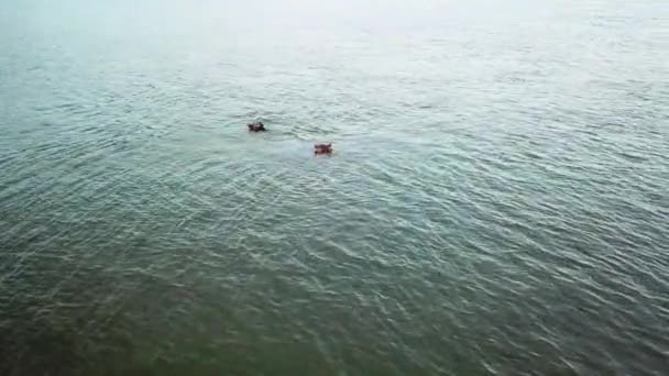 Вода Ландшафт Природа Дронами Хипстерами Озерами Отдыха Природе Животных Спокойствия — стоковое видео