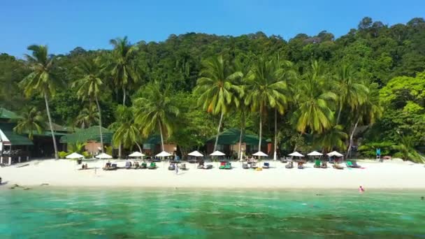サンゴの海と森でリラックス 夏の休日を過ごす人々とラウンジチェアの海 ドローン マレーシアの観光とトロピカルビーチ ヤシの木 風景の空中ビュー — ストック動画