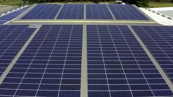 Drone Paneles Solares Agricultura Energía Renovable Planta Energía Sostenibilidad Calefacción — Vídeos de Stock