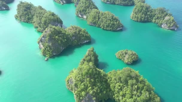 Tropical Terre Drone Sur Île Mer Avec Des Collines Nature — Video