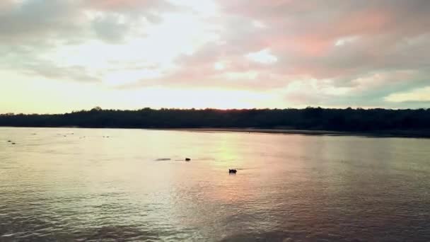 Natuur Meer Nijlpaard Water Bij Zonsondergang Voor Natuurlijk Wild Milieu — Stockvideo