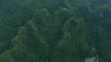 Manzara, ağaçlı dağlar ve insansız hava aracından gelen sis, seyahat ve Vietnam 'daki orman ortamı. Orman, tepe ve yeşil çalı. Dünya, doğa ve sürdürülebilir ormanın doğal görüntüsü.