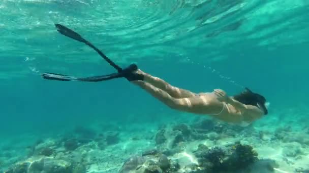 潜水和游泳在珊瑚礁的海滩 自然和鱼类在水下热带生态 海洋与自然海藻在拉贾湿地的锻炼与海洋植物的冒险 — 图库视频影像