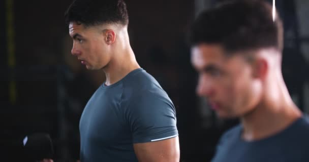 Spegelmannen Hantlar Och Biceps Träning Bodybuilder Styrka Utveckling Eller Hårt — Stockvideo