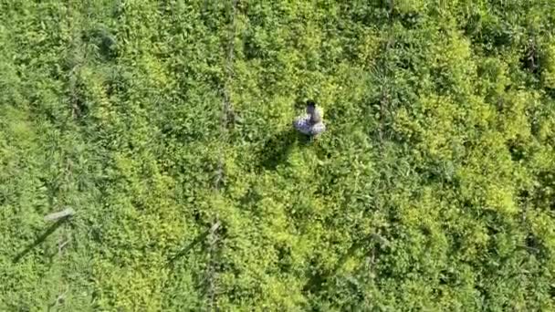 Drone Homem Pesquisa Para Agricultura Tablet Agricultura Ambiente Sustentável Livre — Vídeo de Stock