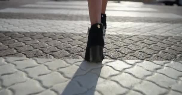 Крупный План Пешеход Женщина Высоких Каблуках Прогулка Утро Солнечным Дорожным — стоковое видео
