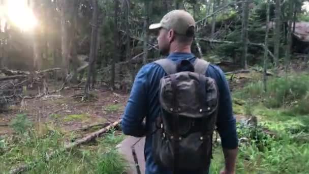 森林和人类在大自然中徒步行走的路径 自由或阳光镜头耀斑 后视镜 历险或徒步旅行的人在暑假 假期或旅行途中在树林中旅行 — 图库视频影像