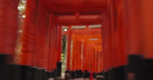 京都の神社で旅行 旅をするトリゲートでの精神的 時間の経過 歴史の記念碑のための日本における高速 ツアー 伏見稲荷大社 — ストック動画