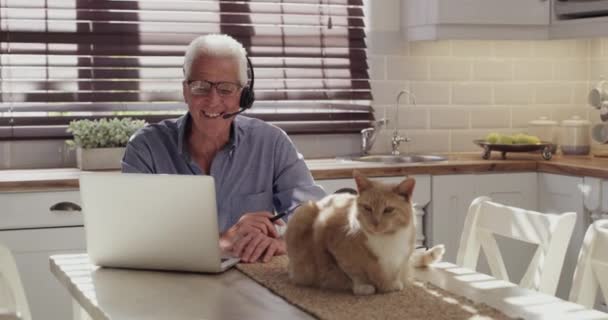 笔记本电脑 家庭视频电话和老人在业务咨询 网络聊天和远程工作 虚拟会议 宠物猫和老年人在耳机 网络研讨会或网上厨房会议上发言 — 图库视频影像
