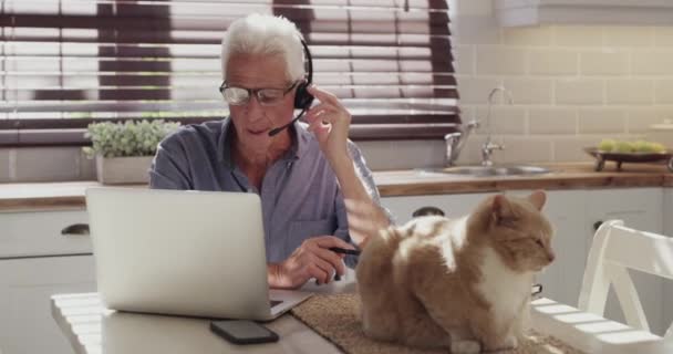 笔记本电脑 家里和老人在公寓厨房的视频电话 业务讨论或虚拟咨询 通过耳机 网络研讨会或会议通信进行在线会议 宠物猫或人联网 — 图库视频影像