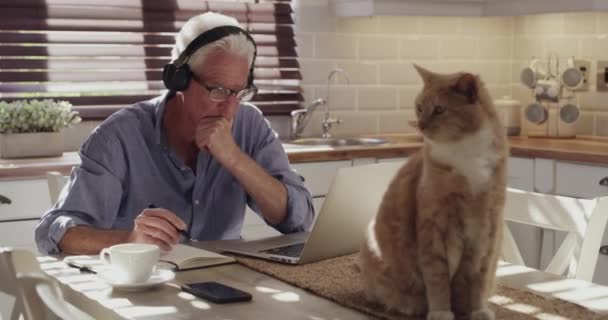 上了年纪的男人 用耳机思考笔记本电脑和家庭计划 写作想法或管理资产 与他的宠物猫在厨房里的人 为财务目的订阅音乐和笔记本 — 图库视频影像