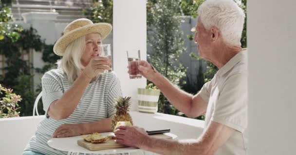 Old Couple Glass Drinking Cheers Happy Garden Retirement Connection Talking — Stock Video