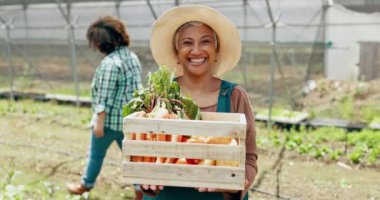 Çiftçilik, sebzeler ve tarım ve tedarik zinciri için serada kutuları olan olgun bir kadın. Çevrede sürdürülebilir gıda yetiştirmek için sandıkla kadın çiftçinin gülümsemesi, üretimi ve portresi