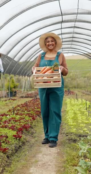Mulher Rosto Vegetais Caixa Estufa Para Agricultura Sustentável Eco Friendly — Vídeo de Stock