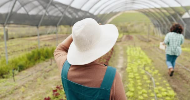 Rolnictwo Szklarniowe Rolnictwo Powrót Kobiet Zrównoważonym Biznesie Przyrodzie Kontroli Jakości — Wideo stockowe