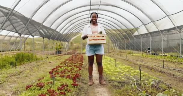 Mulher Negra Agricultura Rosto Agricultor Com Cesta Legumes Colheita Produtos — Vídeo de Stock