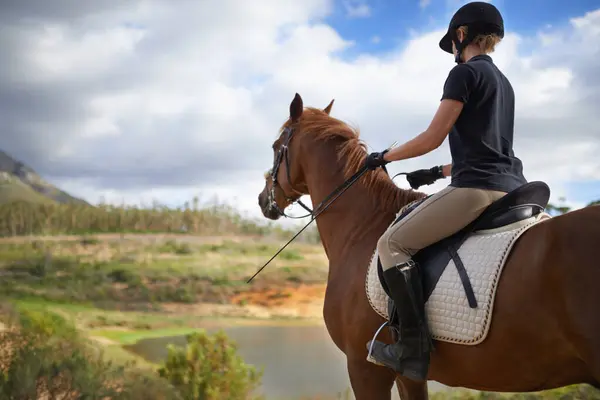 Equestrian, horse and woman riding in nature on adventure and journey in countryside. Ranch, animal and rider outdoor with hobby, sport or walking a pet on farm with girl in summer at river in woods.